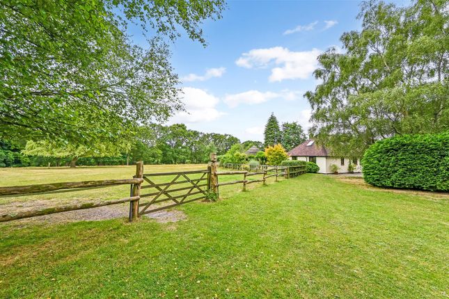 Thumbnail Equestrian property for sale in Rectory Lane, Bramshott, Liphook