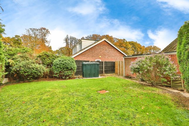 Detached bungalow for sale in Oaklands Close, Halvergate, Norwich
