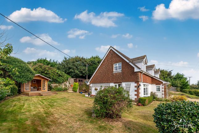 Orchard Cottage, Town Lane, Chale Green photo 2