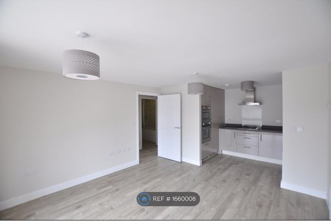 Thumbnail Flat to rent in St Aubyn Street, Plymouth