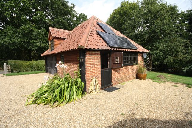 Thumbnail Detached house to rent in Hobbs Farm Cottage, Tandridge Lane, Lingfield, Surrey