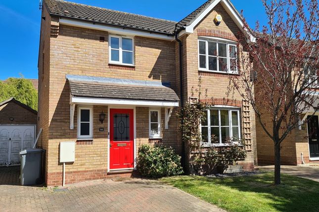 3 bed detached house to rent in Wilkinson Road, Rackheath, Norwich NR13