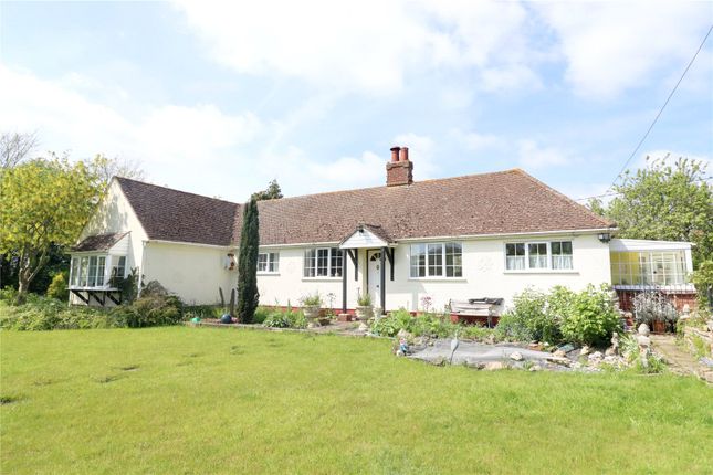 Bungalow for sale in Toppesfield Road, Finchingfield