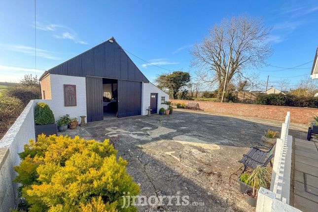 Morawel, Cardigan photo 3