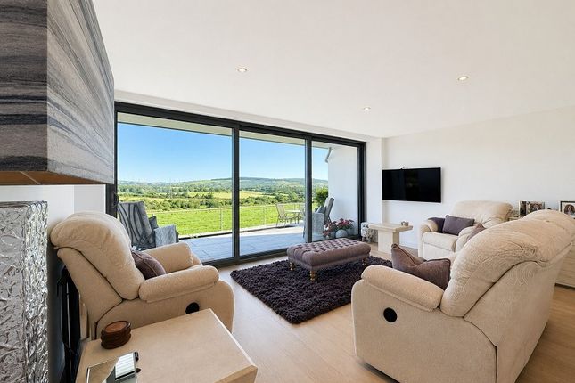 Little Content, The Patch, Pontyclun photo 4