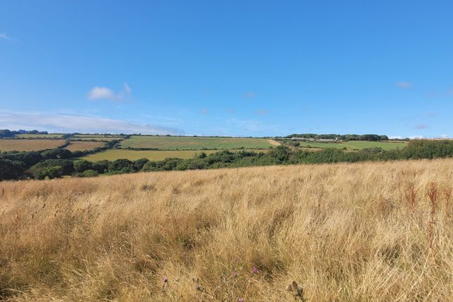 Barn with Class Q in 4.68 Acres, Redruth photo 2