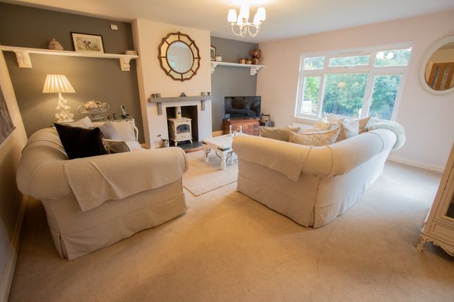 Otter View, Church Lane, Ottery Saint Mary photo 3