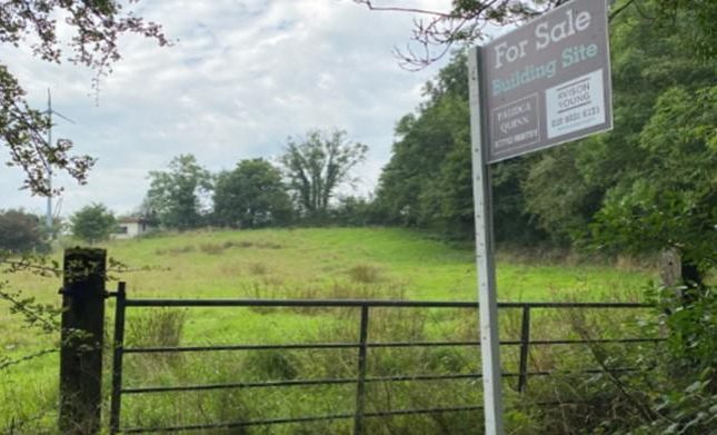 Thumbnail Land for sale in Aghintober Road, Dungannon