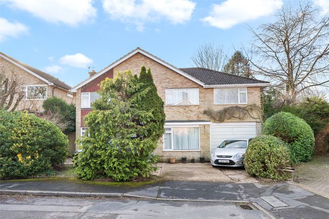 Thumbnail Detached house for sale in The Cedars, Reigate, Surrey