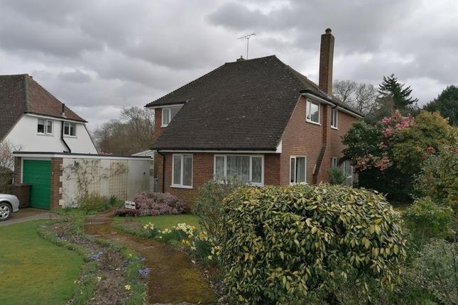 Detached house to rent in Knockwood Road, Tenterden, Kent