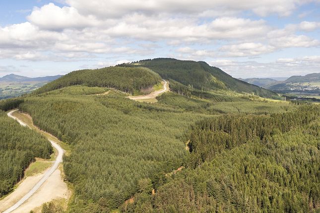 Thumbnail Land for sale in Killiechangie &amp; Drumbuie Forests, Dunkeld, Perthshire