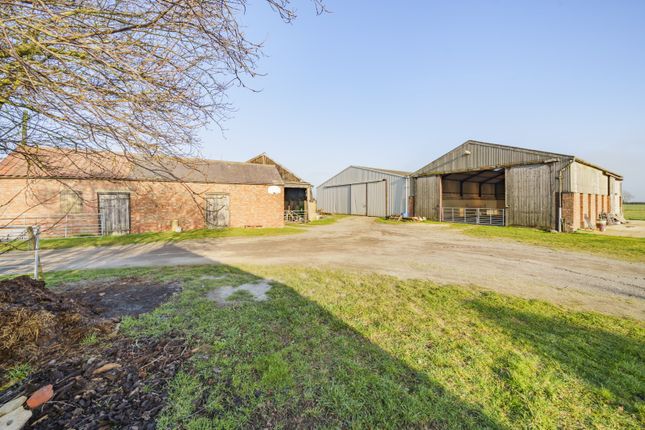 Detached house for sale in Little Hale Fen, Sleaford
