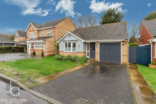 Detached bungalow for sale in Hawthorn Road, Tolleshunt Knights, Maldon