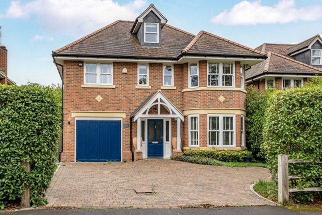 1365747-2-68Ecbf7...