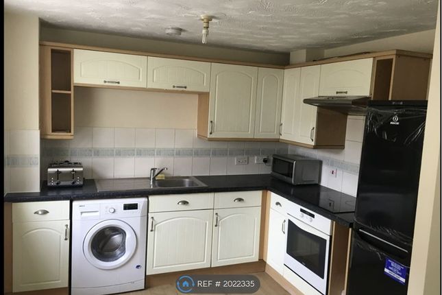 Flat to rent in Maria Court, Colchester