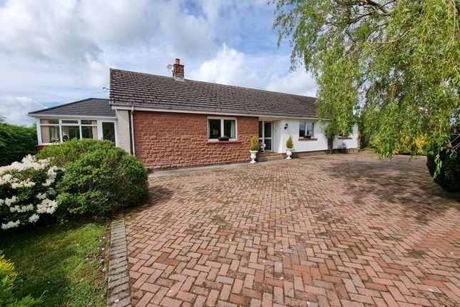 Thumbnail Detached bungalow for sale in Valley View, Cotehill, Carlisle