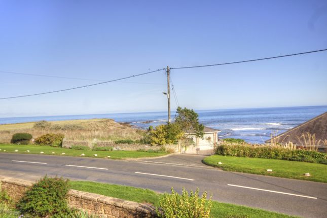 Thumbnail Terraced house for sale in Harbour Road, Beadnell, Chathill