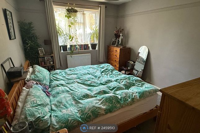White Hart Lane, Tottenham photo 5