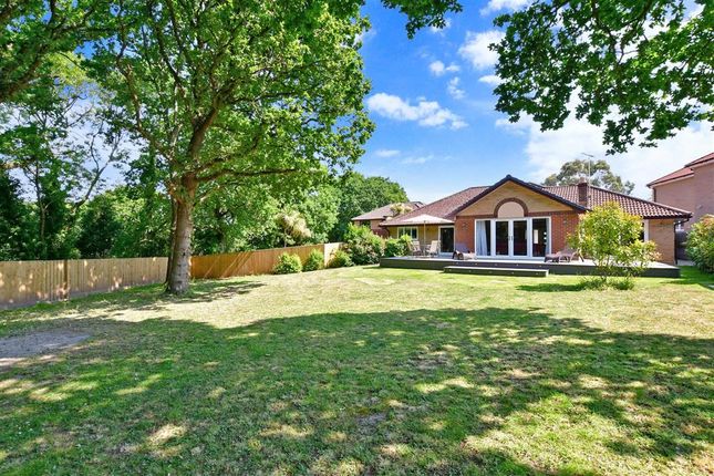 Thumbnail Detached bungalow for sale in Fishbourne Lane, Fishbourne, Isle Of Wight