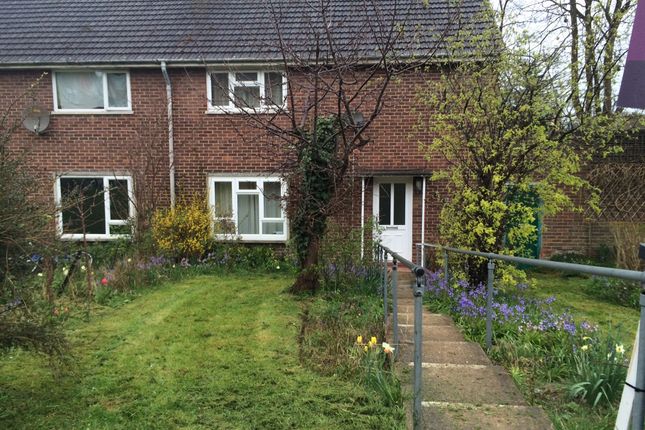 Semi-detached house to rent in Imber Road, Winchester