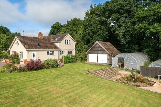 Detached house to rent in Old Taunton Road, Dalwood, Axminster, Devon