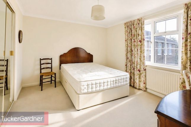 8, Cambridge photo 5