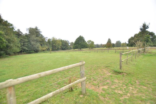 Equestrian property for sale in Wierton Hill, Boughton Monchelsea, Maidstone