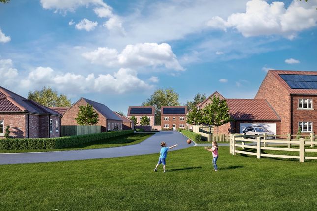 Plot 3, Main Road, Boston photo 4