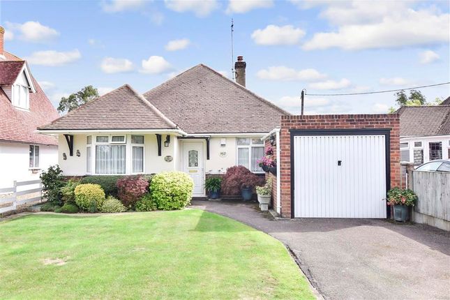 Homes for Sale in The Drive, Chestfield, Whitstable CT5 - Buy Property