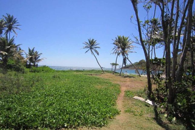 Thumbnail Land for sale in Beach Front Land, Beach Front Land, St Lucia