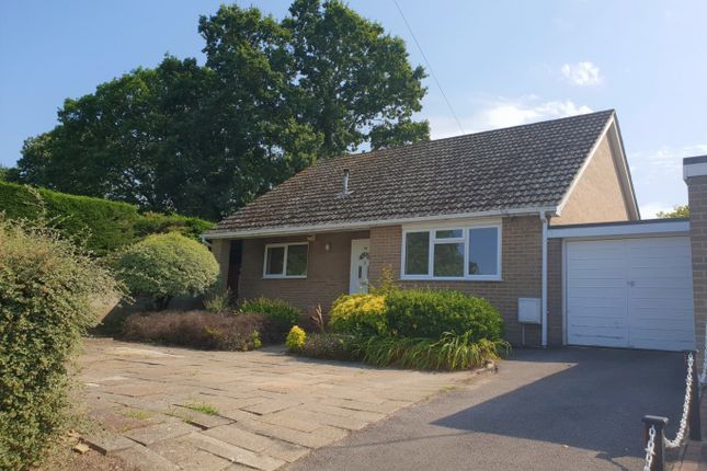 Bungalow to rent in Ameys Lane, Ferndown, Dorset