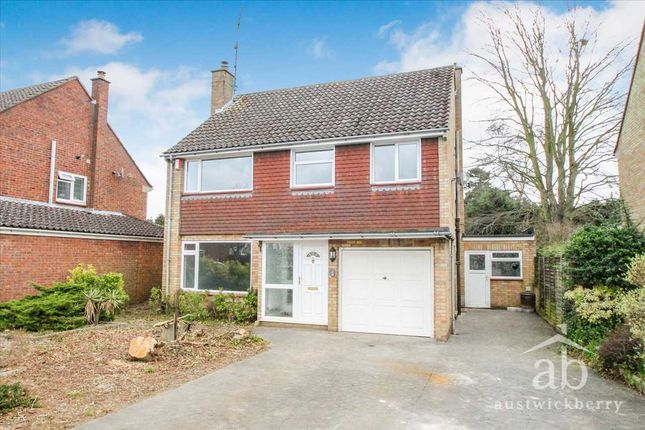 Thumbnail Detached house to rent in Salehurst Road, Ipswich