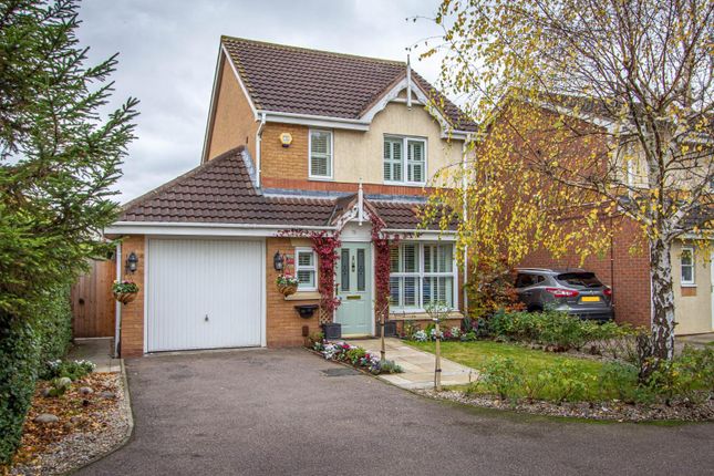 Thumbnail Detached house for sale in Swan Gardens, Peterborough