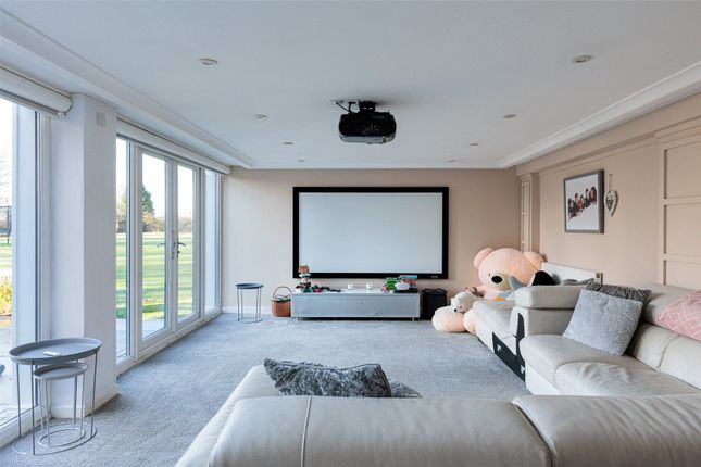 Cinema Room/Snug