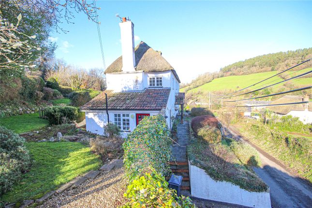 Stepps Orchard,, Stepps Lane, Axmouth photo 2