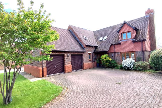Thumbnail Detached house to rent in The Green, Bromham, Bedford