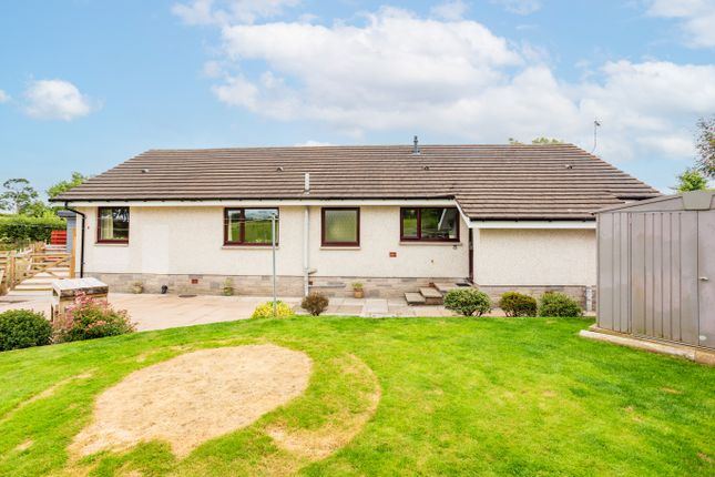 Rogate, Rankine Heights, Lockerbie photo 4