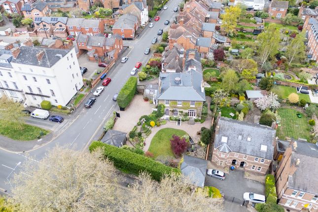 Aerial Shot