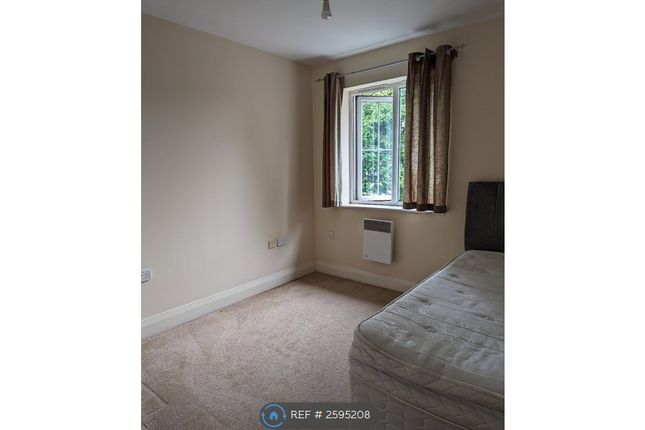 Room 2