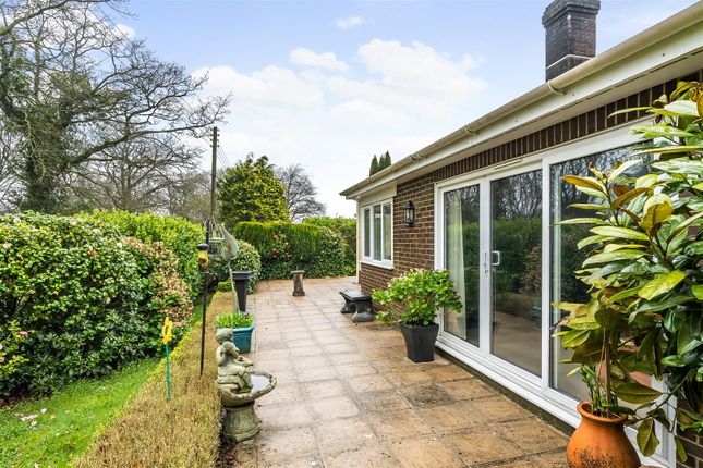 Detached bungalow for sale in Harcombe Road, Axminster