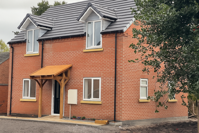 Chatgpt Image Nov 5, 2025, 05_15_44 Pm