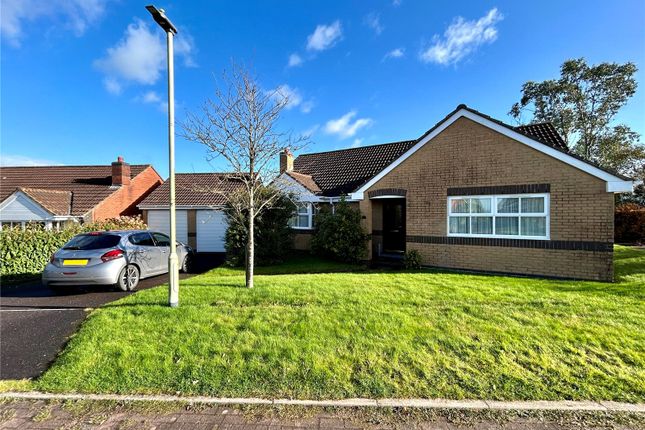 Thumbnail Bungalow for sale in Kings Farm Lane, Winkleigh