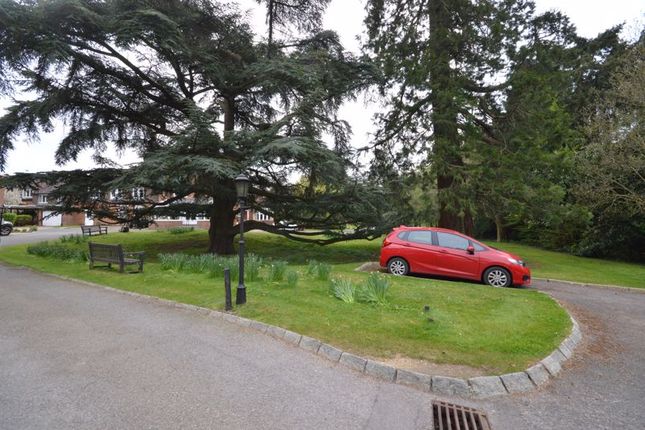 Property for sale in Tanners Lane, Haslemere