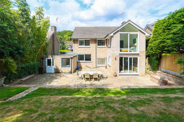 Thumbnail Detached house to rent in Woodland Drive, Hove, East Sussex