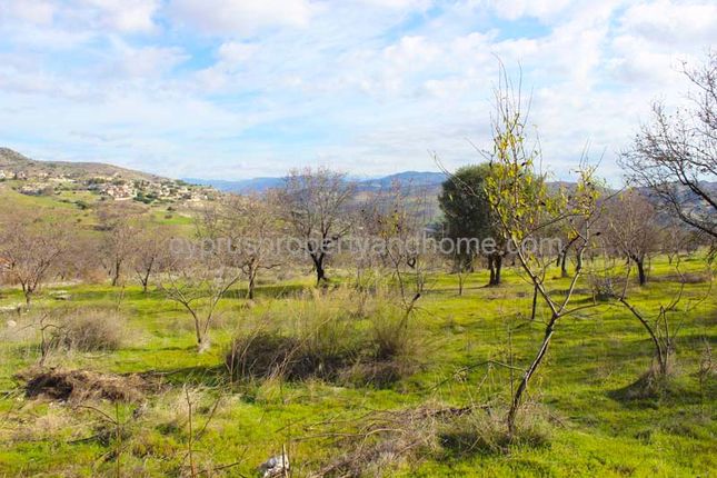 Land for sale in Nata, Paphos, Cyprus