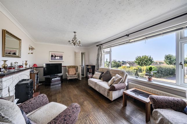 16, Norburton, Bridport photo 4