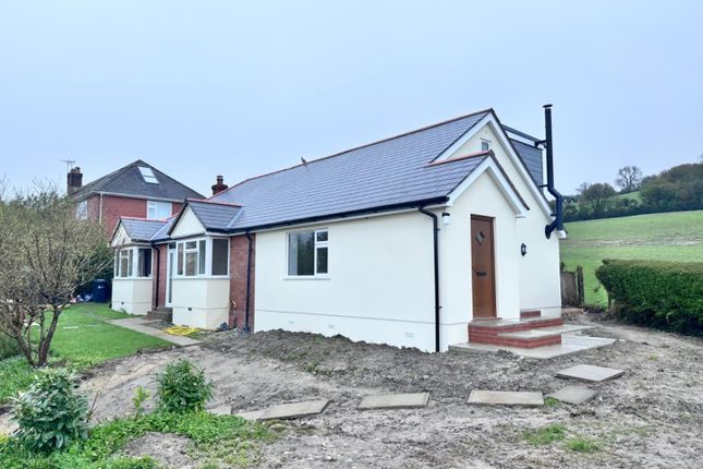 Thumbnail Detached house to rent in Cattistock, Dorchester