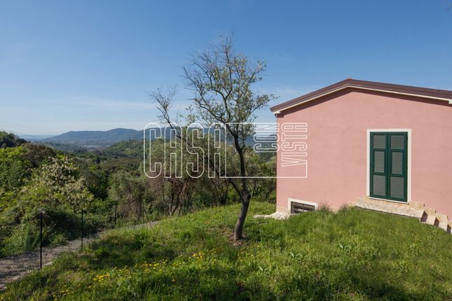 Thumbnail Semi-detached house for sale in Via Prulla 23, Sarzana, La Spezia, Liguria, Italy