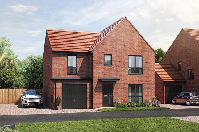 Detached house for sale in "Chelmsford" at Wilmot Drive, Newcastle-Under-Lyme