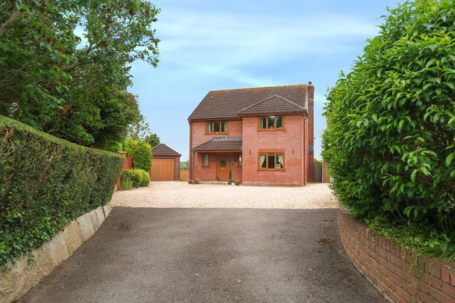 Thumbnail Detached house for sale in Torbay Road, Castle Cary, Somerset